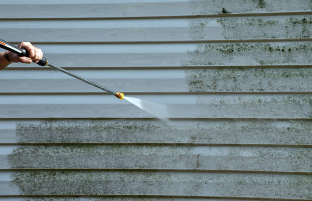 Best Professional Mold Removal  in Morganton, NC